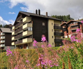 Alpenglück 51
